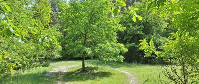 Tyniec, ul. Nad Czerną ↔ Podgórki Tynieckie [Strzelnica]