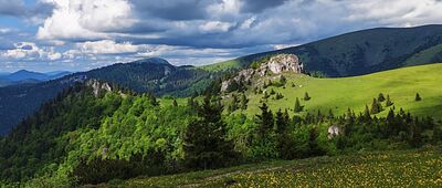 Sedlo pod Smrekovom ↔ Kráľova studňa, rázc.