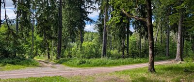 Pod Sokolikiem ↔ Wojanów