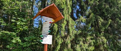Szwajcarka, parking