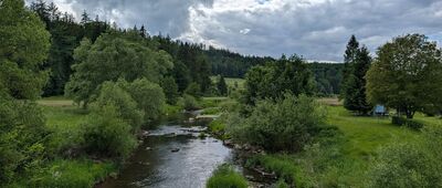 Trzcińsko [Bóbr]