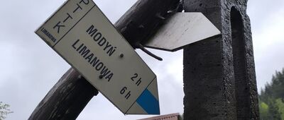 Zbludza