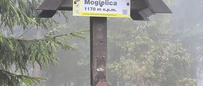 Mogielica