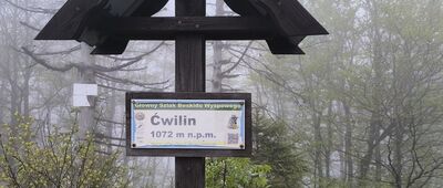 Ćwilin