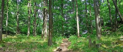 Szczytna ↔ Pod Szczytną