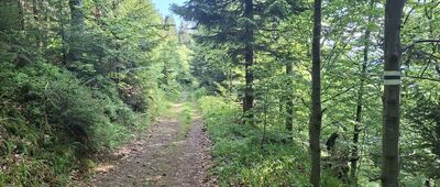 Hala Śmietanowa ↔ Pod Halą Śmietanową