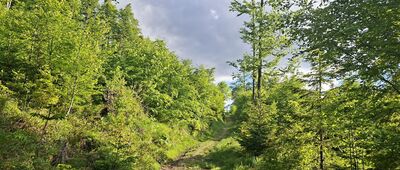 Hala Śmietanowa ↔ Pod Halą Śmietanową