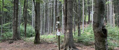 Pod Kłodzką Górą [Pod Kłodzką Górą]