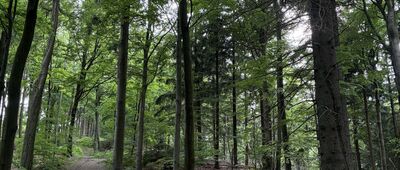 Pod Kłodzką Górą [Pod Kłodzką Górą]