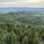 Widok na zachód z wieży na Kłodzkiej Górze