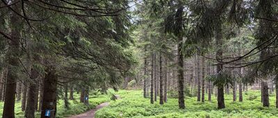 Głęboka Jama [Siodło Martena]