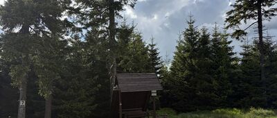 Pod Małym Śnieżnikiem ↔ Dzikie Zbocze