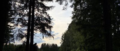 Jaworek Górny ↔ Dzikie Zbocze pod Wysoczką
