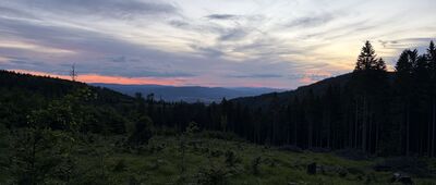 Przełęcz Puchaczówka, rozejście szlaków ↔ Rozdroże pod Lesieńcem