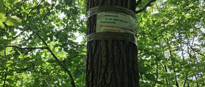 Wejherowo, rondo Mirona Łukowicza ↔ Rekowo Dolne