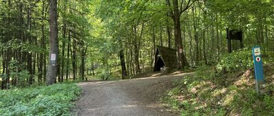 Pod Krzywuchą