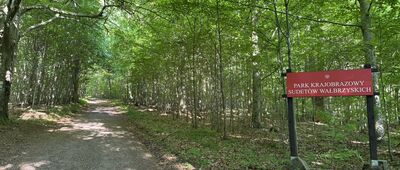 Pod Krzywuchą