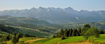 Czarna Góra, Sołtysowo ↔ Czarna Góra (Litwinka) [Tatry - widok z Czarnej Góry]