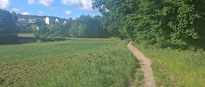 Skrzyżowanie szlaków żółty / czarny ↔ Kacza