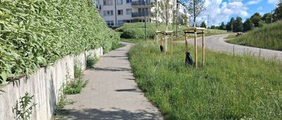 Gdynia, Sokółka ↔ Gdynia, Wiczlino, skraj lasu