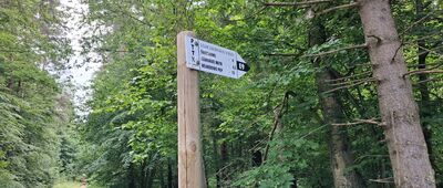 Reda, Pieleszewo SKM