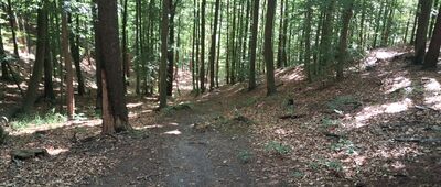 Skrzyżowanie szlaków czerwony / czarny ↔ Wejherowo, Śmiechowo, cmentarz