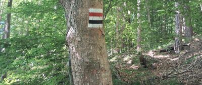 Skrzyżowanie szlaków czerwony / czarny
