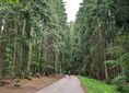 Harrachov, bus ↔ Pod Wodospadem Mumlawy