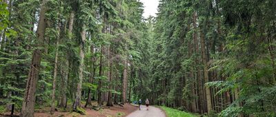 Harrachov, bus ↔ Pod Wodospadem Mumlawy