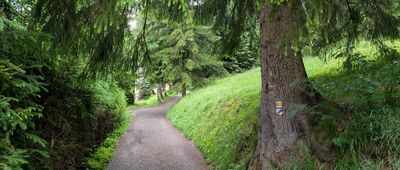 Ryžoviště, rozc.