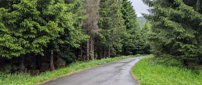 Ryžoviště, rozc. ↔ Ručičky, skrzyżowanie