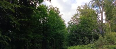 Rozejście szlaków