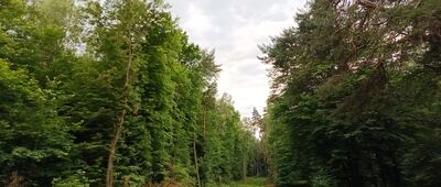 Rozejście szlaków ↔ Rozejście szlaków