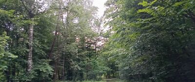 Rozejście szlaków