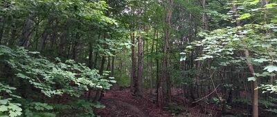 Rozejście szlaków
