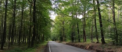 Dojście do kamieniołomu na Czerwieńcu