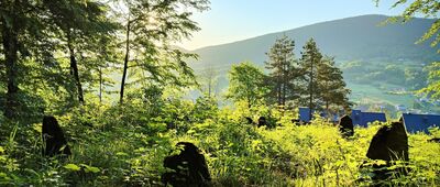 Wiśniowa, cmentarz wojenny nr 373 [Wiśniowa, cmentarz wojenny nr 373 (maj 2026)]