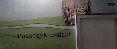 Zabrzeg, stacja kolejowa ↔ Zabrzeg, ul. Do Zapory