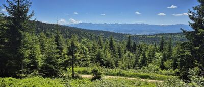 Rozdziele [Tatry spod wierzchołka Rozdziela]