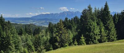 Nowy Targ, Oleksówki ↔ Bukowina Miejska [Polana Dziubasówka i Tatry Słowackie w tle]