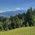 Polana Dziubasówka i Tatry Słowackie w tle
