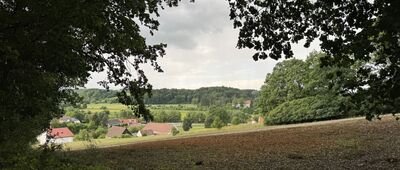 Krzeniów, parking ↔ Czerwony Kamień, odejście na szczyt