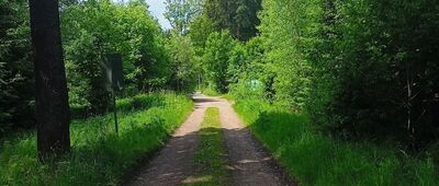 Rozejście szlaków
