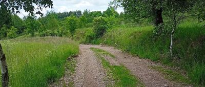 Rozdroże pod Strażnicą ↔ Uniemyśl