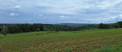 Lubinka ↔ Błonie [Szczepanowice, widok na Górę św. Marcina]