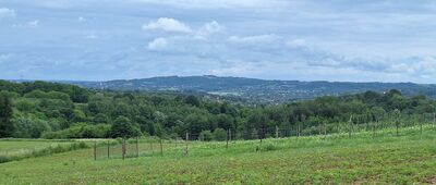 Lubinka ↔ Błonie [Szczepanowice, widok na Górę św. Marcina]