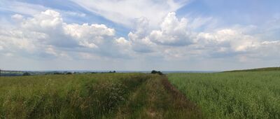 Rozejście szlaków