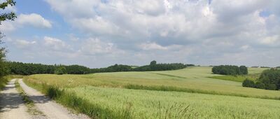 Rzeszów, Bzianka ↔ Góra Ropczycka