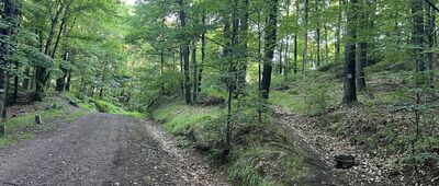 Rozejście szlaków