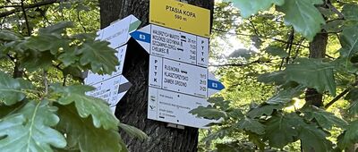 Ptasia Kopa, byłe schronisko